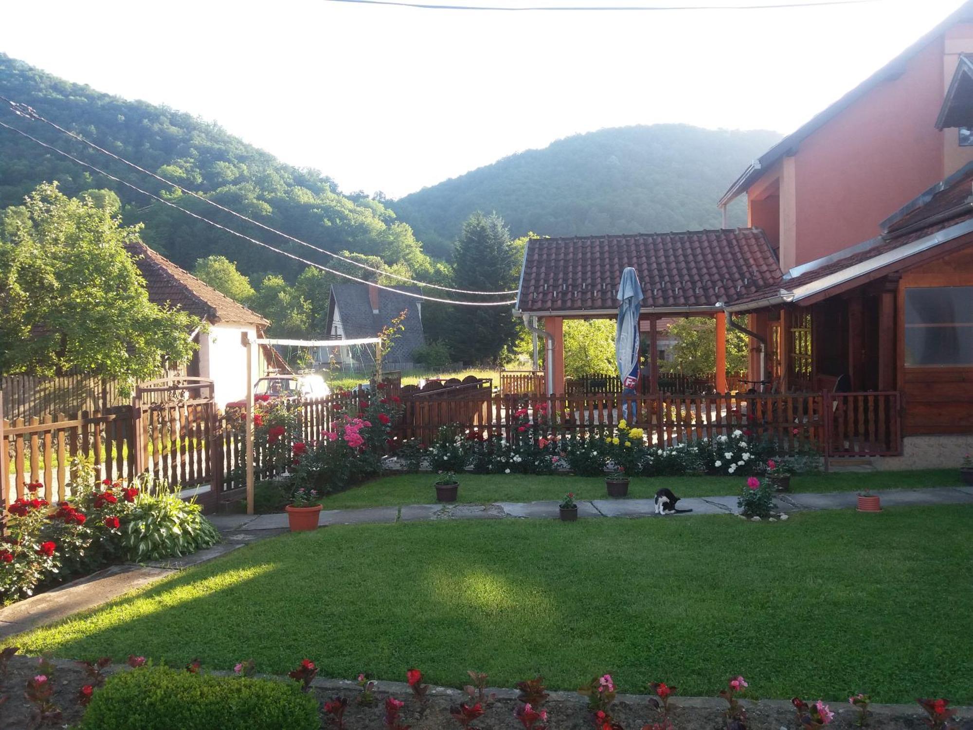 Guesthouse Tadic Guča Εξωτερικό φωτογραφία