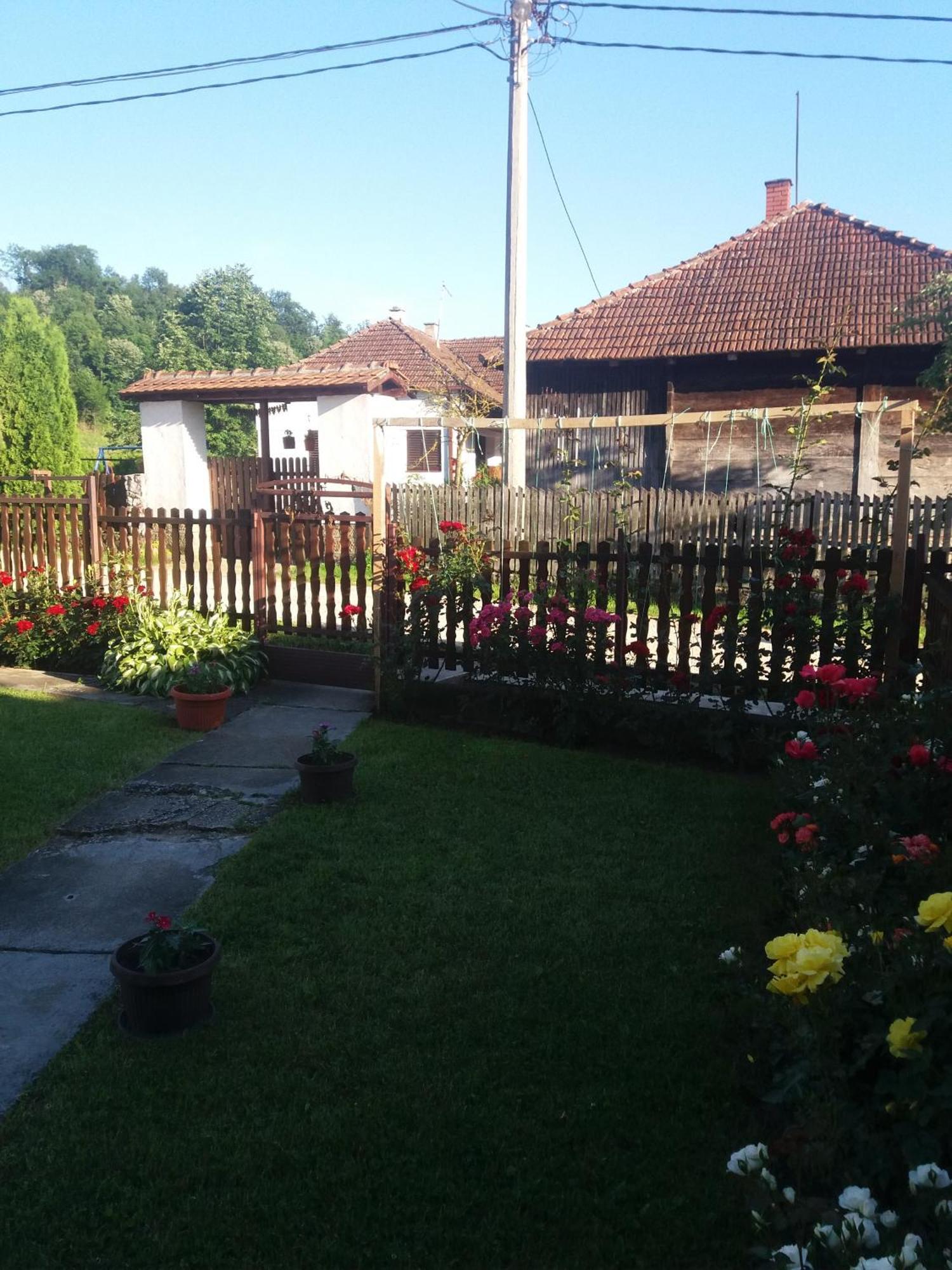 Guesthouse Tadic Guča Εξωτερικό φωτογραφία