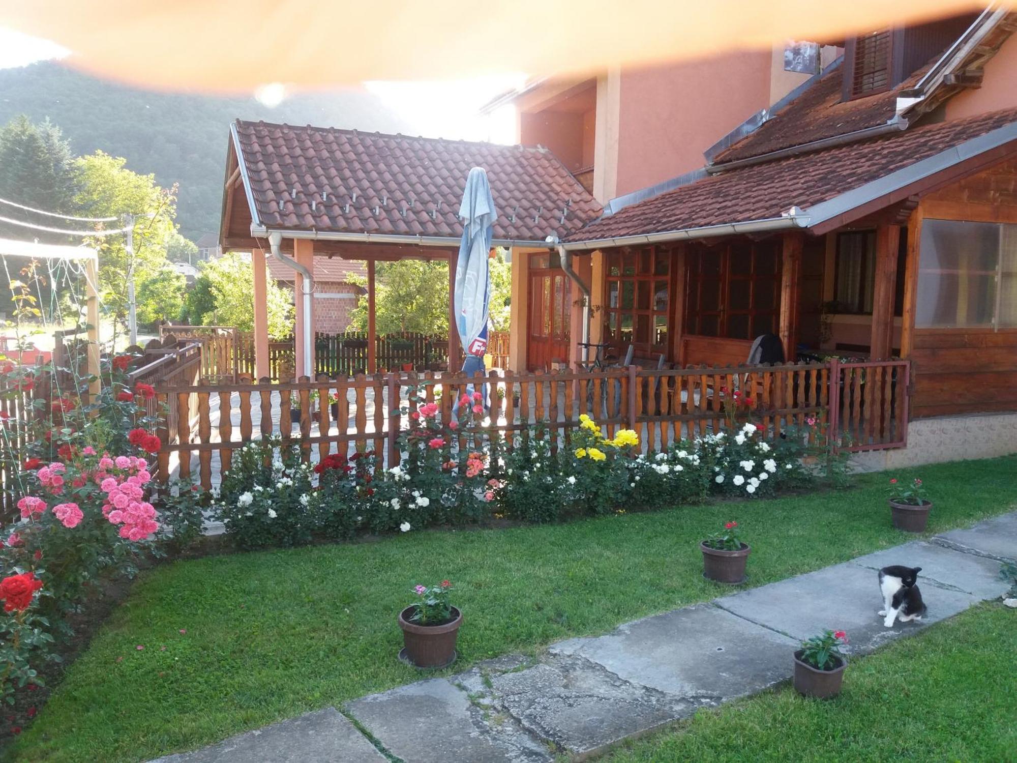 Guesthouse Tadic Guča Εξωτερικό φωτογραφία